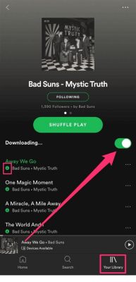 how to download music from spotify to phone - how does the process differ for different devices?