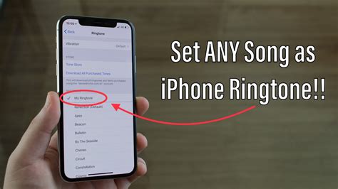 how to set ringtone on iphone 12 from music library and why does the sound of a bell often remind us of childhood memories?